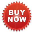 Buy Now Sudoku Up 2007!